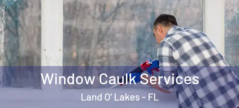  Window Caulk Services Land O' Lakes - FL