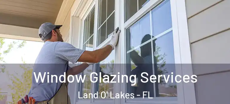  Window Glazing Services Land O' Lakes - FL