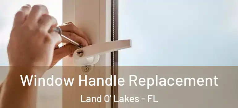  Window Handle Replacement Land O' Lakes - FL
