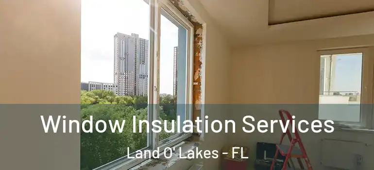 Window Insulation Services Land O' Lakes - FL