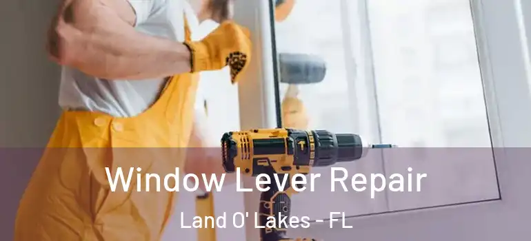  Window Lever Repair Land O' Lakes - FL