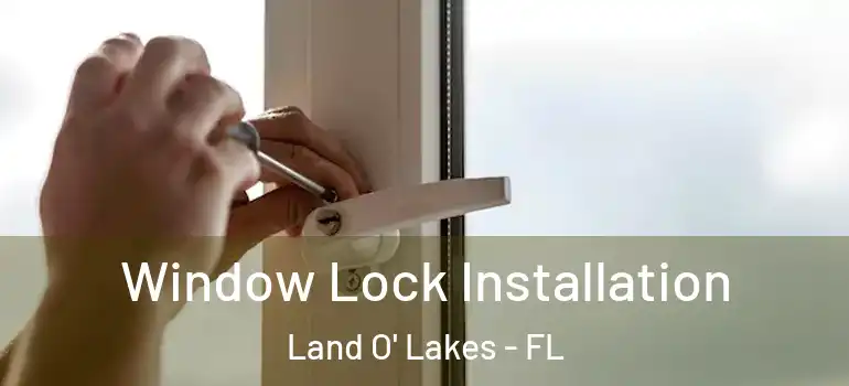  Window Lock Installation Land O' Lakes - FL