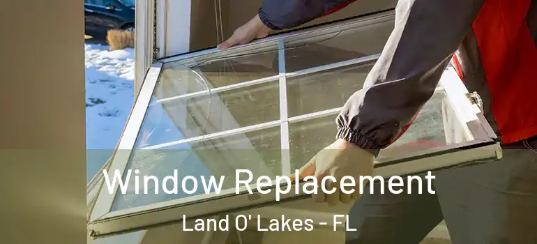  Window Replacement Land O' Lakes - FL