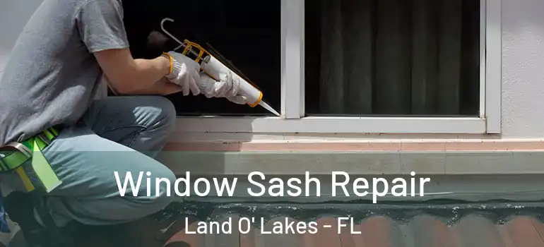  Window Sash Repair Land O' Lakes - FL