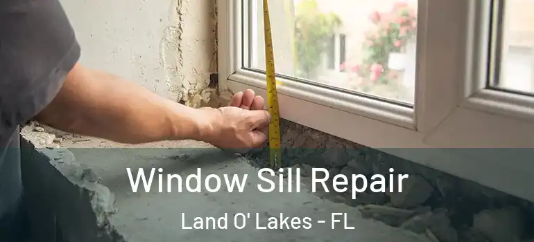  Window Sill Repair Land O' Lakes - FL