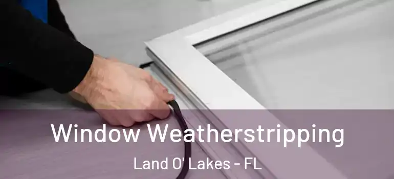  Window Weatherstripping Land O' Lakes - FL