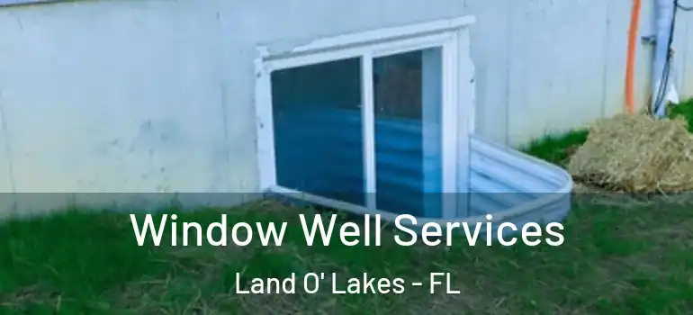  Window Well Services Land O' Lakes - FL