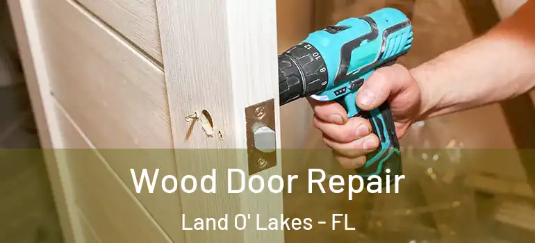  Wood Door Repair Land O' Lakes - FL